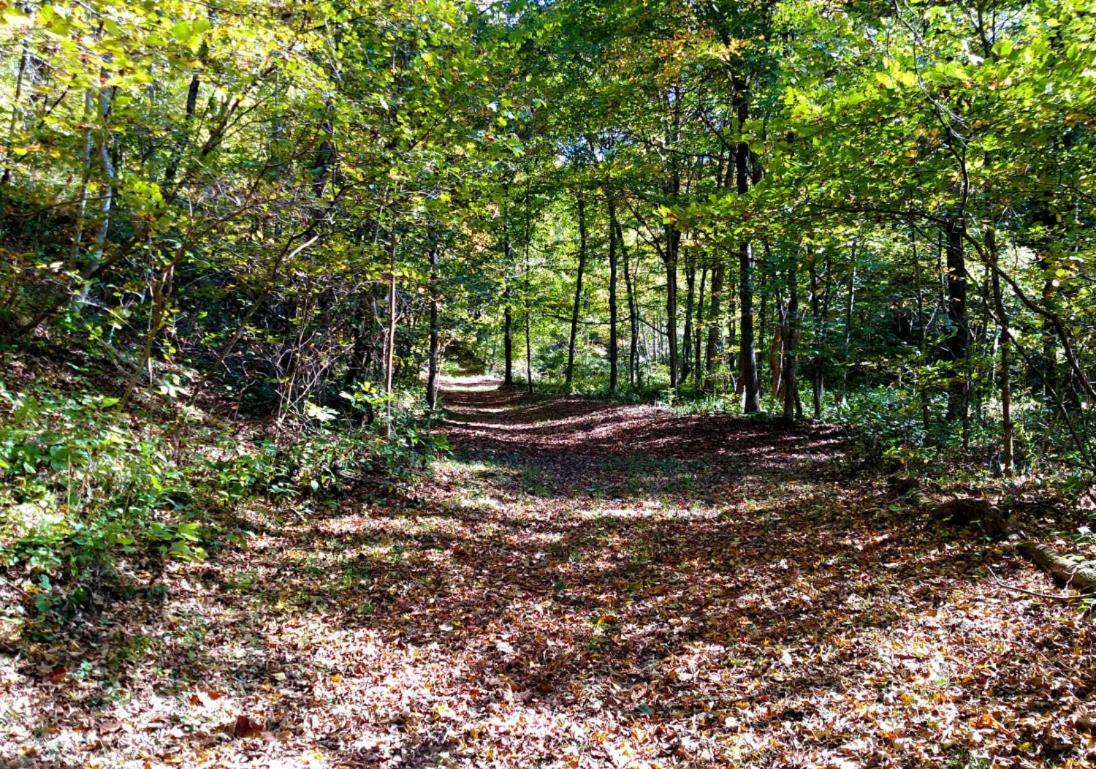 Отель Altenbrauch Farm - Camping In The Hocking Hills Stella Экстерьер фото